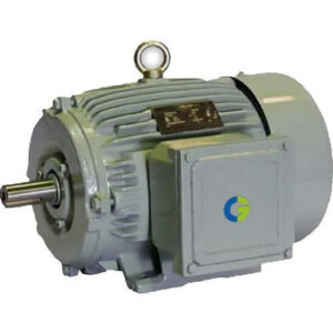 Crompton Electrical Motor – Foot Mounting